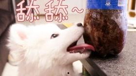 吃瓜娱乐汪,揭秘娱乐圈那些事儿 第3张 吃瓜娱乐汪,揭秘娱乐圈那些事儿 第3张